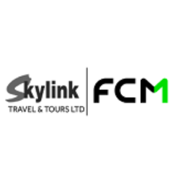 skylink travel and tours limited tanzania